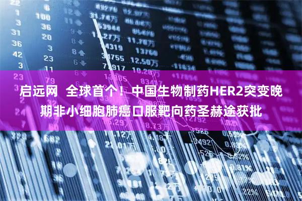 启远网  全球首个！中国生物制药HER2突变晚期非小细胞肺癌口服靶向药圣赫途获批