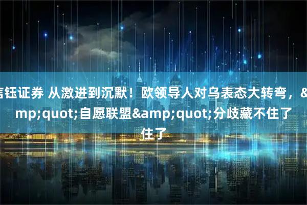 信钰证券 从激进到沉默！欧领导人对乌表态大转弯，"自愿联盟"分歧藏不住了