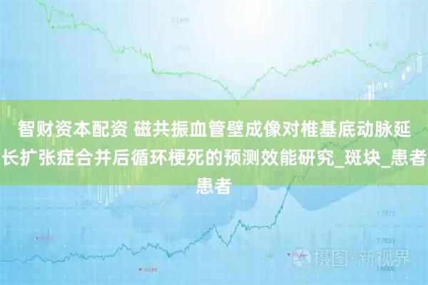 智财资本配资 磁共振血管壁成像对椎基底动脉延长扩张症合并后循环梗死的预测效能研究_斑块_患者