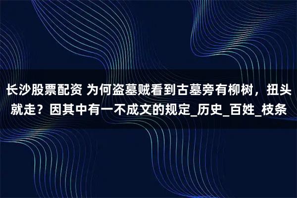 长沙股票配资 为何盗墓贼看到古墓旁有柳树，扭头就走？因其中有一不成文的规定_历史_百姓_枝条